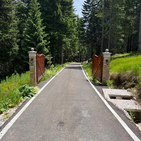 Tvoja Kucica Za Beg 2 * Plesin